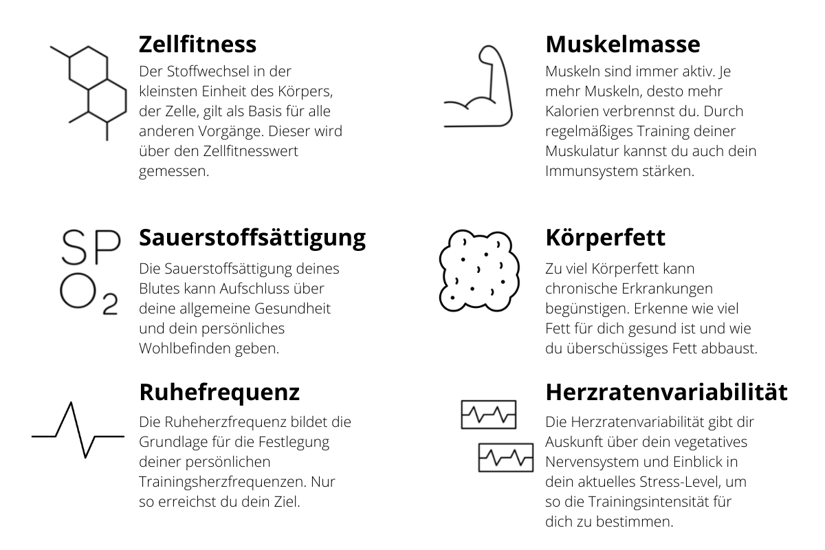 Körperdaten Mescan